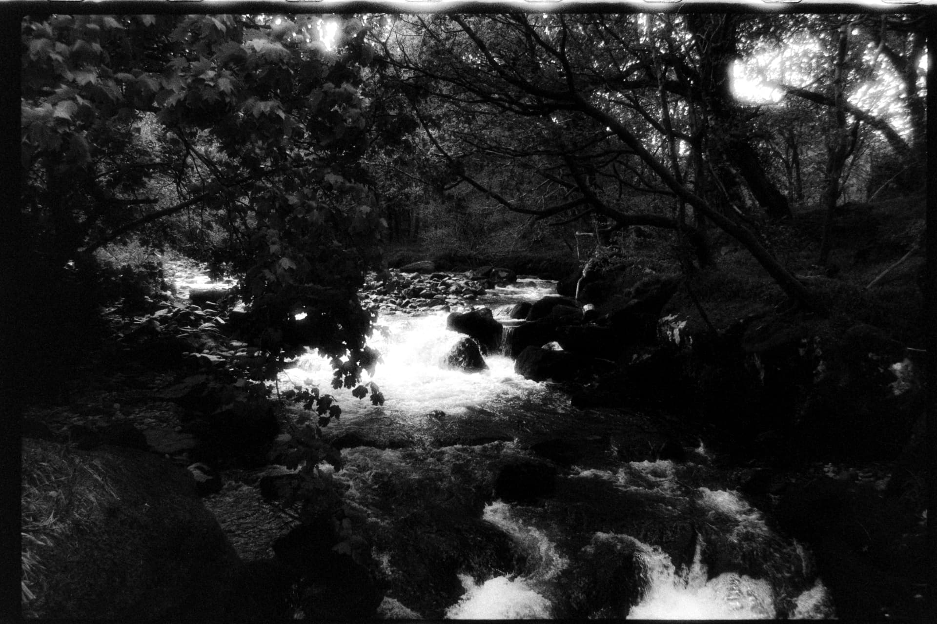 2025-04-27-film-1.jpg