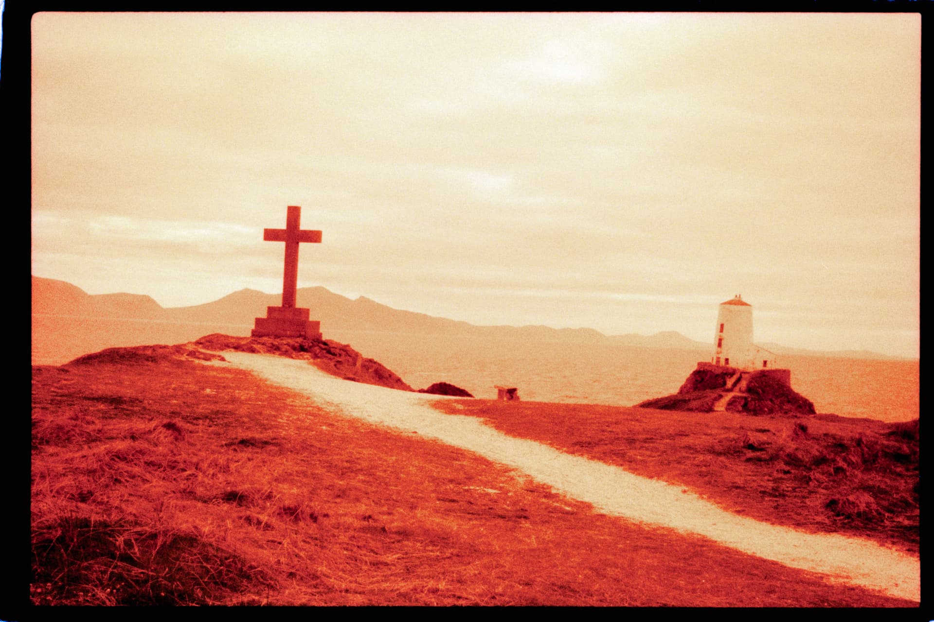 2025-04-27-redscale-film-share.jpg