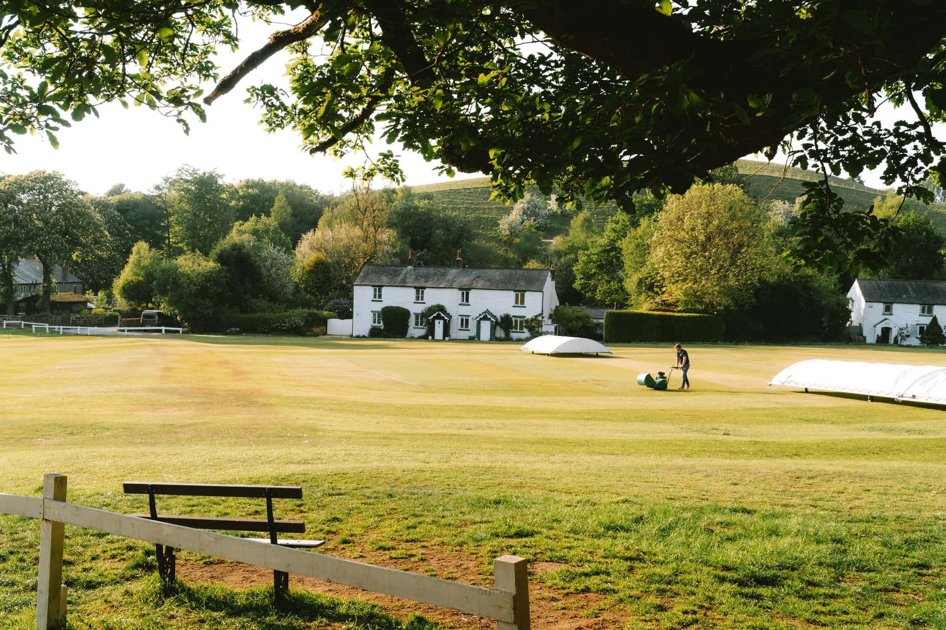 A groundskeeper maintains a cricket pitch in the evening light