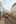 Preload next image