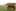 Preload next image